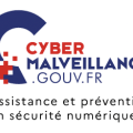 Cyber malveillance
